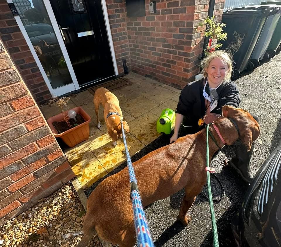 Sophie crouching beside two dogs on leads outside her SK9 boarding home