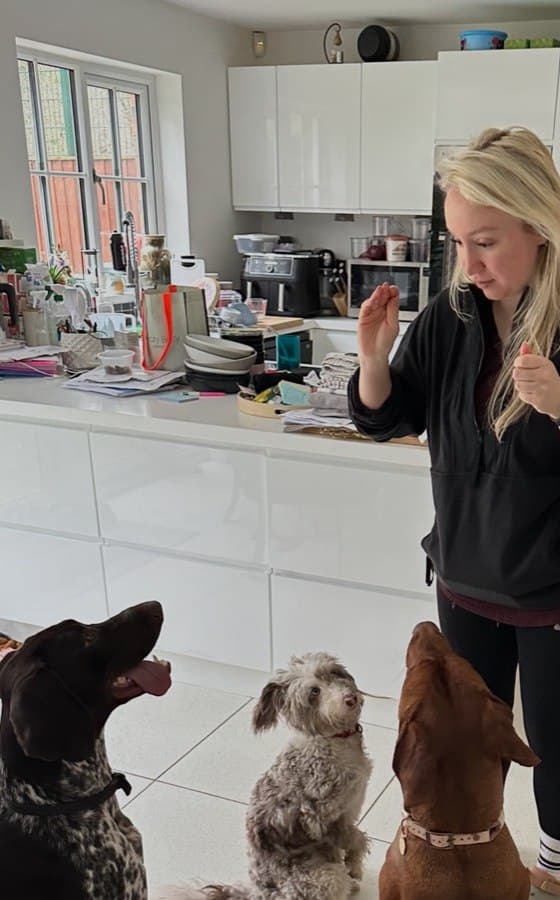 Sophie giving instructions to three dogs in her SK9 boarding kitchen